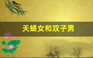 天蝎女和双子男(天蝎女和双子男的匹配度)