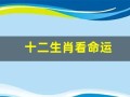 十二生肖看命运(十二生肖命运表完整版)