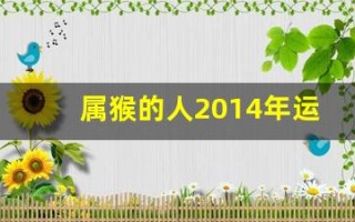 属猴的人2014年运程(属猴人2024年运势及运程每月运程)