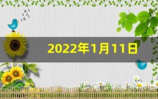 2022年1月11日五行穿衣(20211月11日五行穿衣指南)