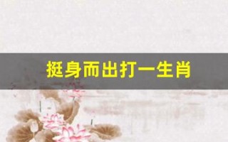 挺身而出打一生肖(挺身而出打一生肖冫)