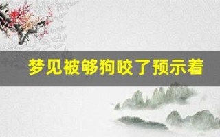 梦见被够狗咬了预示着什么(梦见被够狗咬了预示着什么意思女性)
