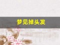 梦见掉头发(梦见掉头发掉了一大把预示着什么)