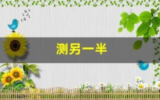 测另一半(测未来另一半姓氏免费)
