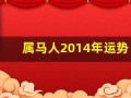 属马人2014年运势(属马人2024年的全年运势)