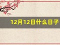 12月12日什么日子(12.12日什么日子)