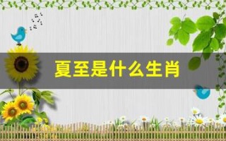夏至是什么生肖(夏至是什么生肖正确答案)