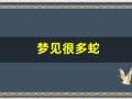 梦见很多蛇(梦见很多蛇)