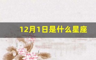 12月1日是什么星座(阳历12月1日是什么星座)