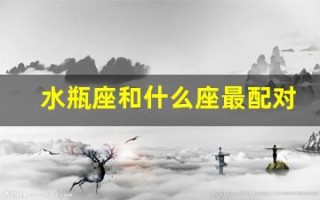 水瓶座和什么座最配对(白羊座和什么座最配对)