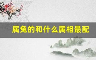 属兔的和什么属相最配(属猪的和什么属相最配)