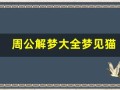 周公解梦大全梦见猫(周公解梦大全梦见猫因为我意外受伤后咬我)
