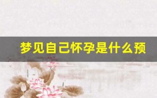 梦见自己怀孕是什么预兆(梦见自己怀孕是什么预兆周公解梦)