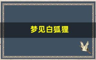 梦见白狐狸(女人梦见白狐狸是吉兆吗)
