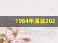 1984年属鼠2021年运势及运程(1984年属鼠2021年运势及运程幸运色)