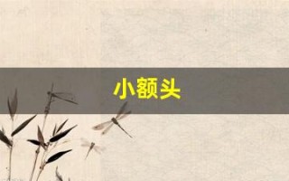 小额头(额头男人面相)