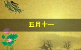 五月十一(五月十一号英语)