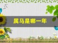 属马是哪一年(80后属马是哪一年的)