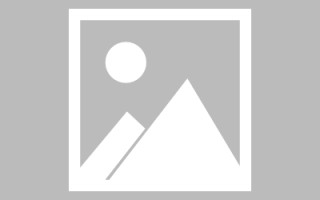 周公解梦大全官网查询(周公解梦大全官网查询抽签)