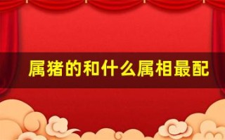 属猪的和什么属相最配、相克(相克相冲)