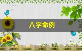 八字命例(八字命例讲解)