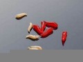 梦见蛆虫(梦见蛆虫爬到脚上有什么预兆)