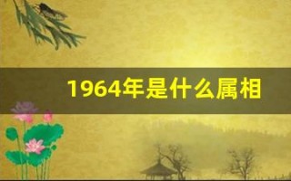 1964年是什么属相