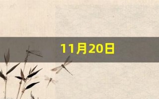 11月20日(11月20日到今天多少天)