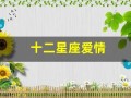 十二星座爱情(十二星座爱情匹配度)
