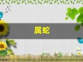 属蛇(属蛇是哪一年出生的)
