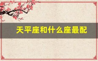天平座和什么座最配(天秤座和什么座最配对)