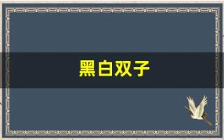 黑白双子(黑白双子恶魔3d召唤动画免费播放)