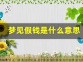 梦见假钱是什么意思(梦见假钱好不好)
