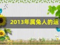 2013年属兔人的运程(2013年属兔人的运程如何)
