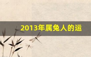 2013年属兔人的运程(13年的兔是什么命)