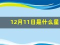 12月11日是什么星座(阳历12月11日是什么星座)