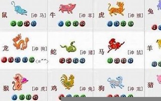 身无分文是什么生肖(身无分文打一动物)