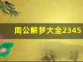 周公解梦大全2345(周公解梦大全2345查询免费)