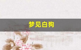 梦见白狗(梦见白狗追我是什么预兆)