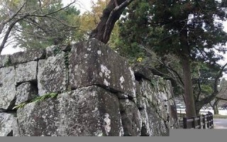 2015年11月22日(2015年11月22日出生几岁)