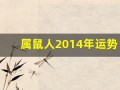 属鼠人2014年运势(2014属鼠人全年运势)