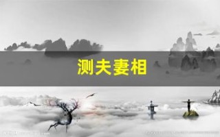 测夫妻相(测夫妻相的相机)
