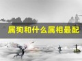 属狗和什么属相最配