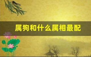 属狗和什么属相最配