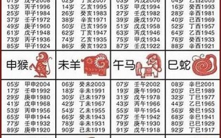 属蛇2010年运程算命