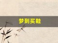 梦到买鞋(梦到买鞋试鞋穿是什么征兆)
