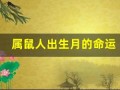 属鼠人出生月的命运(哪月出生最好)
