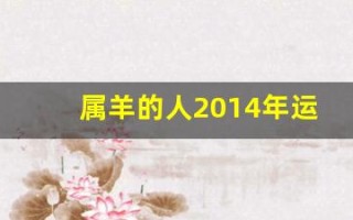 属羊的人2014年运程(2014年属羊人的命运)