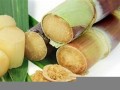 梦见甘蔗(梦见甘蔗又粗又大是什么意思)