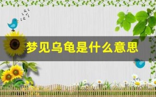 梦见乌龟是什么意思(怀孕梦见乌龟是什么意思)